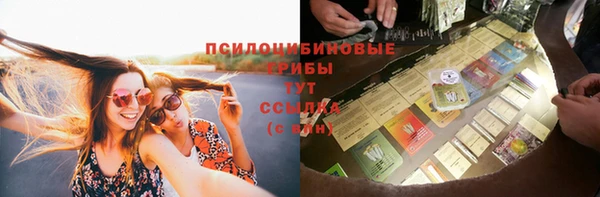 метадон Аркадак