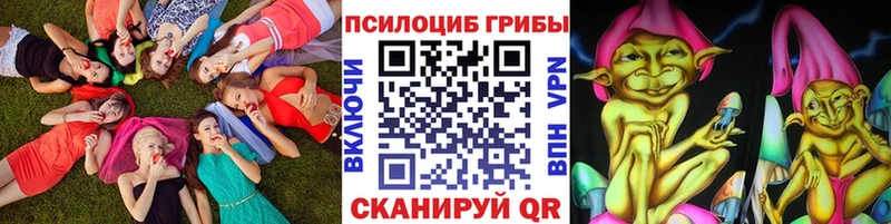 Псилоцибиновые грибы Psilocybe  Купить  Ахтубинск 
